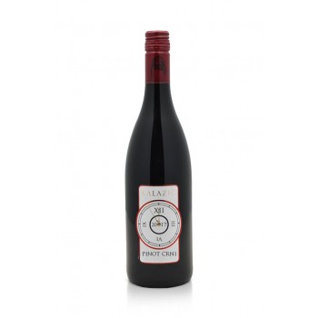 Pinot crni 2022 classic